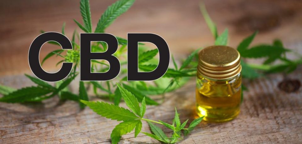 Bulk Delta 8, A Cbd Is Known For Its Variations