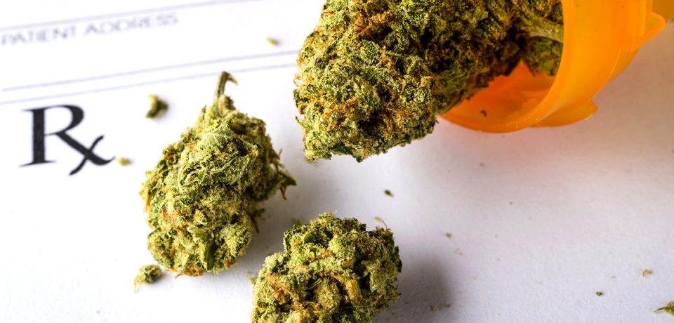 Explore The Freshest Selection of Marijuana Found in Ann Arbor